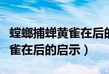 螳螂捕蟬黃雀在后的啟示是什么（螳螂捕蟬黃雀在后的啟示）