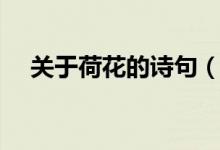 關(guān)于荷花的詩(shī)句（關(guān)于荷花的詩(shī)句推薦）