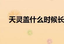 天靈蓋什么時(shí)候長好（天靈蓋什么意思）