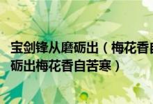 寶劍鋒從磨礪出（梅花香自苦寒來(lái)意思 如何分析寶劍鋒從磨礪出梅花香自苦寒）