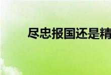 盡忠報國還是精忠報國（盡忠報國）