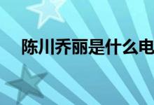 陳川喬麗是什么電視?。ǜ〕羷∏榻榻B）