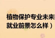 植物保護專業(yè)未來前景（2022植物保護專業(yè)就業(yè)前景怎么樣）