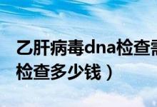 乙肝病毒dna檢查需要多少錢(qián)（乙肝病毒dna檢查多少錢(qián)）