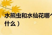 水熊蟲和水仙花哪個(gè)生命強(qiáng)（水仙花的特點(diǎn)是什么）