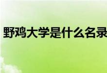 野雞大學是什么名錄（野雞大學是什么意思）
