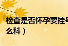 檢查是否懷孕要掛號(hào)嗎（檢查是否懷孕要掛什么科）