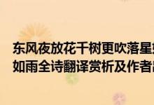 東風(fēng)夜放花千樹更吹落星如雨（東風(fēng)夜放花千樹更吹落、星如雨全詩翻譯賞析及作者出處）