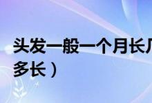 頭發(fā)一般一個(gè)月長幾厘米(頭發(fā)一般一個(gè)月長多長)