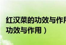 紅漢菜的功效與作用及禁忌有哪些(紅漢菜的功效與作用)