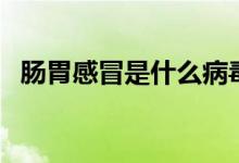 腸胃感冒是什么病毒（腸胃感冒是什么?。?class=