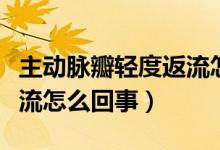 主動脈瓣輕度返流怎樣鍛煉（主動脈瓣輕度返流怎么回事）
