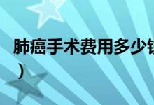 肺癌手術(shù)費(fèi)用多少錢?。ǚ伟┦中g(shù)費(fèi)用多少錢）