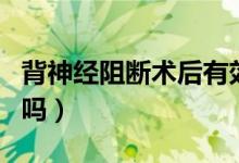 背神經(jīng)阻斷術(shù)后有效果嗎（背神經(jīng)阻斷術(shù)管用嗎）