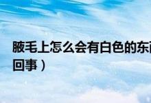 腋毛上怎么會有白色的東西（腋毛上面有白色的東西是怎么回事）