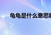 龜龜是什么意思?。旪斒鞘裁匆馑迹?class=