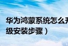 華為鴻蒙系統(tǒng)怎么升級安裝（華為鴻蒙系統(tǒng)升級安裝步驟）