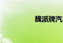 魏派牌汽車是什么品牌