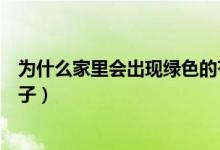 為什么家里會(huì)出現(xiàn)綠色的蒼蠅（為什么家里會(huì)出現(xiàn)綠色的蚊子）