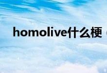 homolive什么梗(homolive什么意思)