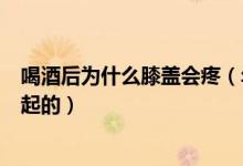 喝酒后為什么膝蓋會疼（年輕人喝酒后膝蓋疼是什么原因引起的）
