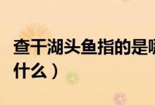 查干湖頭魚(yú)指的是哪個(gè)魚(yú)（查干湖頭魚(yú)指的是什么）