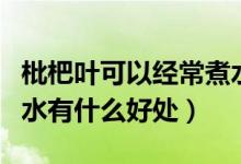 枇杷葉可以經(jīng)常煮水喝嗎（長(zhǎng)期喝枇杷葉煮的水有什么好處）