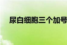 尿白細(xì)胞三個(gè)加號(hào)（尿白細(xì)胞三個(gè)加號(hào)）