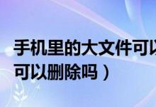 手機(jī)里的大文件可以清理嗎（手機(jī)里的大文件可以刪除嗎）