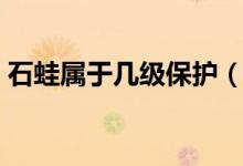 石蛙屬于幾級保護(hù)（石蛙屬于幾級保護(hù)動物）