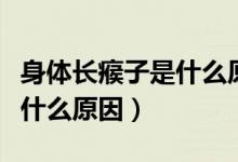 身體長瘊子是什么原因引起的（身體長瘊子是什么原因）
