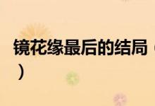 鏡花緣最后的結局（鏡花緣小說的結局是什么）