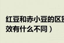 紅豆和赤小豆的區(qū)別與功效（赤豆與紅小豆功效有什么不同）