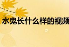 水鬼長(zhǎng)什么樣的視頻（水鬼長(zhǎng)什么樣和視頻）