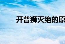 開普獅滅絕的原因（開普獅有多大）