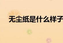 無(wú)塵紙是什么樣子（無(wú)塵紙是什么做的）