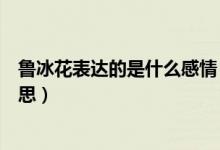 魯冰花表達的是什么感情（魯冰花是誰的作品表達了什么意思）