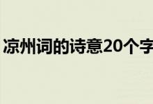 涼州詞的詩意20個字(涼州詞的詩意是什么)