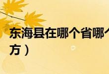 東?？h在哪個(gè)省哪個(gè)市（山東東海縣是什么地方）