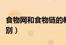 食物網(wǎng)和食物鏈的教學(食物網(wǎng)和食物鏈的區(qū)別)