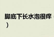 腳底下長(zhǎng)水泡很癢（腳底下長(zhǎng)水泡很癢怎么辦）
