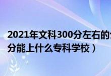 2021年文科300分左右的公辦?？拼髮W(xué)（2022高考文科300分能上什么專科學(xué)校）