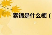素錦是什么梗（素錦是什么電視?。?class=