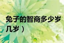 兔子的智商多少歲（兔子的智商大概是人類(lèi)的幾歲）