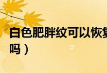 白色肥胖紋可以恢復嗎（白色肥胖紋可以消除嗎）