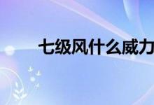 七級(jí)風(fēng)什么威力（七級(jí)風(fēng)什么概念）