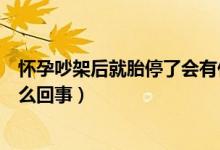 懷孕吵架后就胎停了會有什么反應(yīng)（懷孕吵架后就胎停了怎么回事）