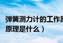 彈簧測力計的工作原理是（彈簧測力計的工作原理是什么）