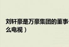 劉軒豪是萬(wàn)豪集團(tuán)的董事長(zhǎng)嗎（萬(wàn)豪集團(tuán)董事長(zhǎng)劉軒豪是什么電視）
