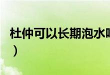 杜仲可以長期泡水嗎（杜仲可以長期泡水喝嗎）